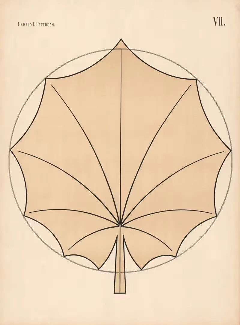 Элементарный свободный рисунок том 2 Пл.07 by Харальд Фритйоф Петерсен, 1909 — digital art print download