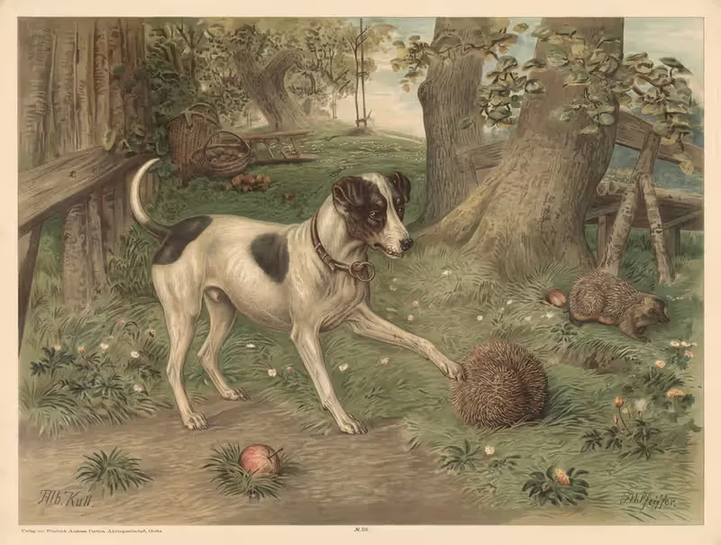 Dog and hedgehog by Otto Speckter, 1880 — digital art print download