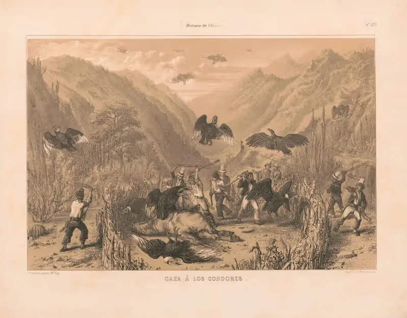 Охота на кондоров by Пьер Фредерик Ленер, 1844-1860 — digital art print download
