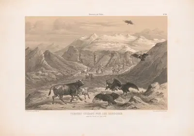 Ternero atacado por los condores cerca del volcan de San-José by Pierre Frédéric Lehnert, 1844-1860 — digital art print…