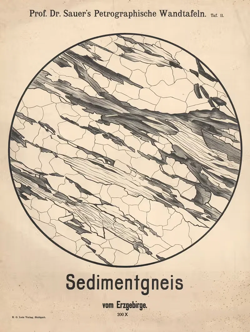 Sedimentary gneiss from the Ore Mountains — Adolf Sauer