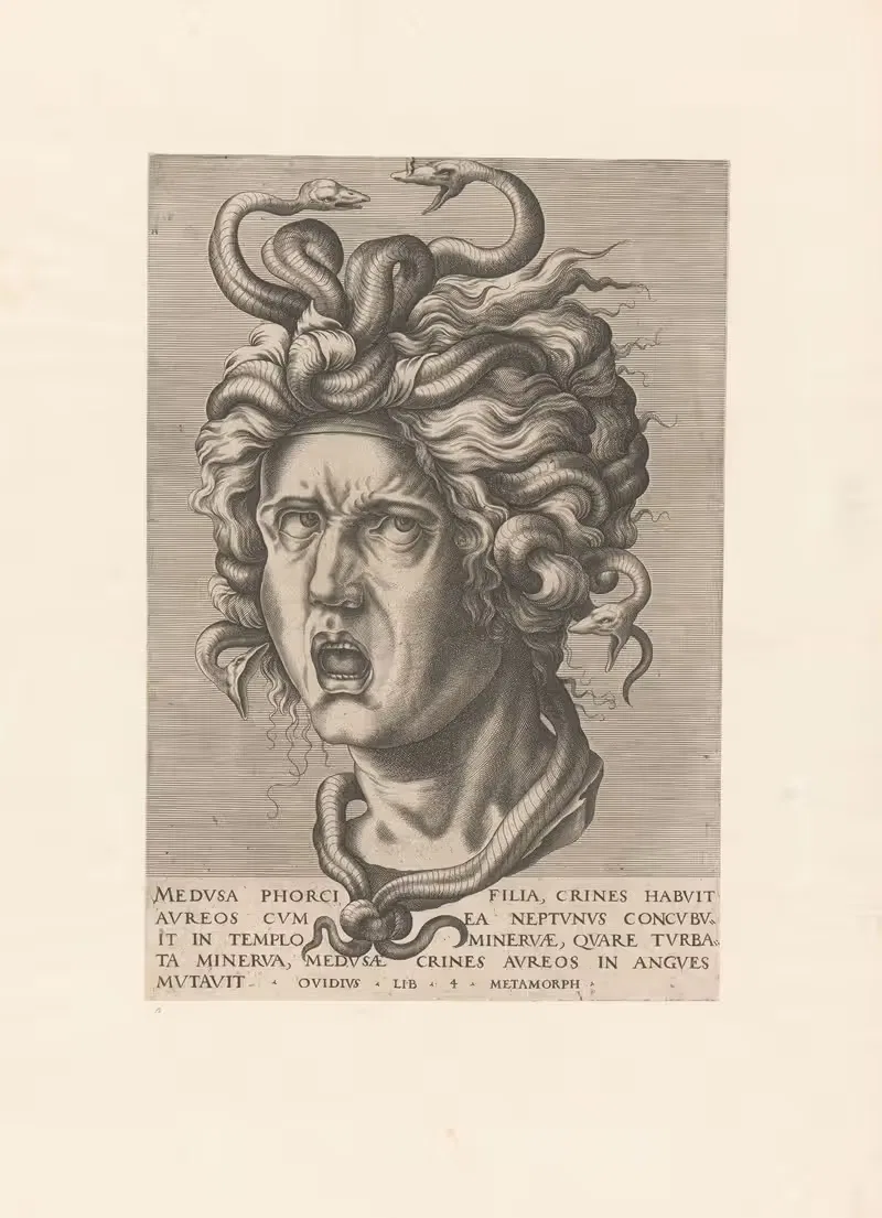 Head of Medusa — Anonymous