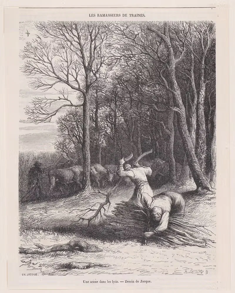 Сцена в лесу by Шарль Эмиль Жак, 1852 — digital art print download