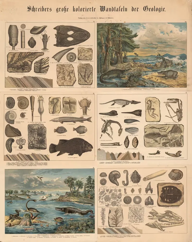 Animal and plant life — J.F. Schreiber