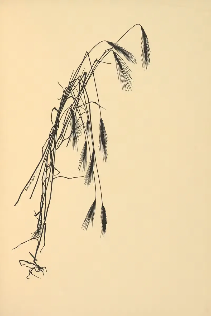 Goldene Ernte Pl.04 by Johanna Beckmann, 1930 — digital art print download
