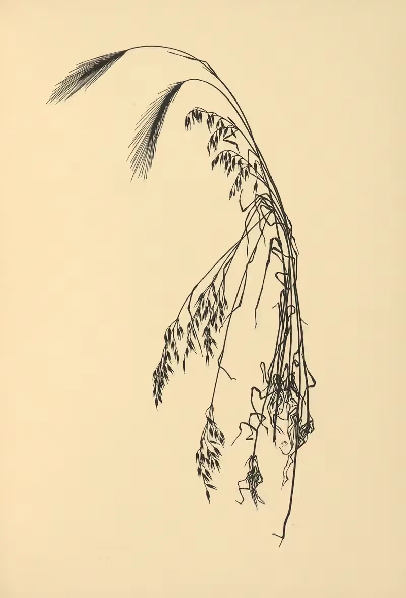 Золотой урожай Пл.06 by Йоханна Бекманн, 1930 — digital art print download