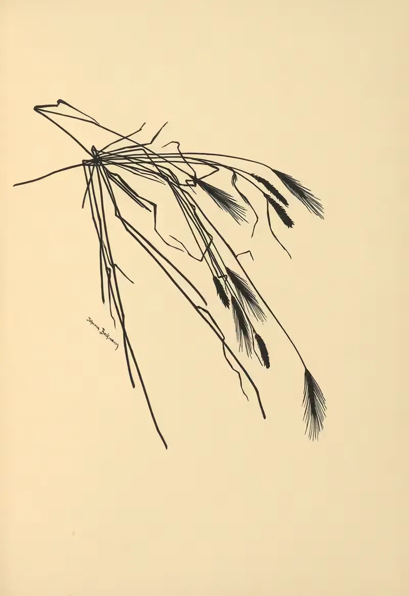 Goldene Ernte Pl.07 by Johanna Beckmann, 1930 — digital art print download