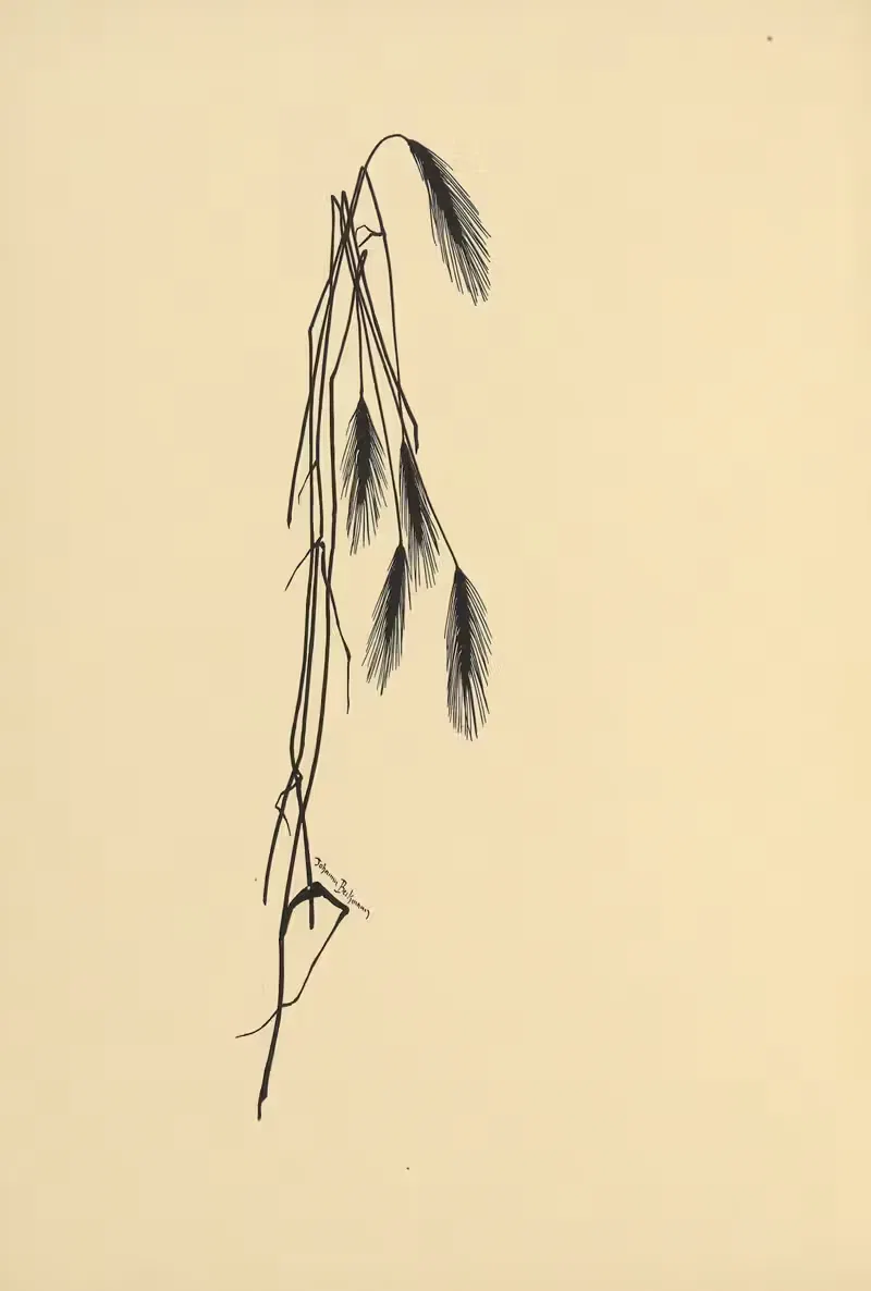 Золотой урожай Пл.08 by Йоханна Бекманн, 1930 — digital art print download