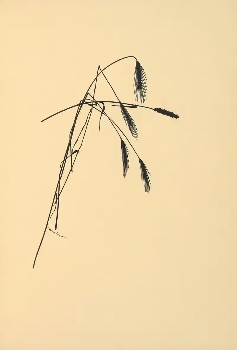 Золотой урожай Пл.09 by Йоханна Бекманн, 1930 — digital art print download