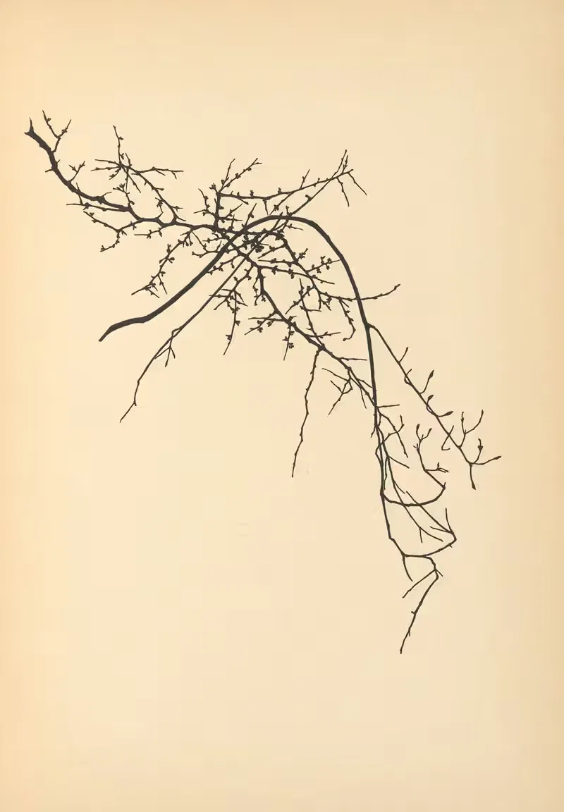 Доверие стр. 09 by Йоханна Бекманн, 1933 — digital art print download