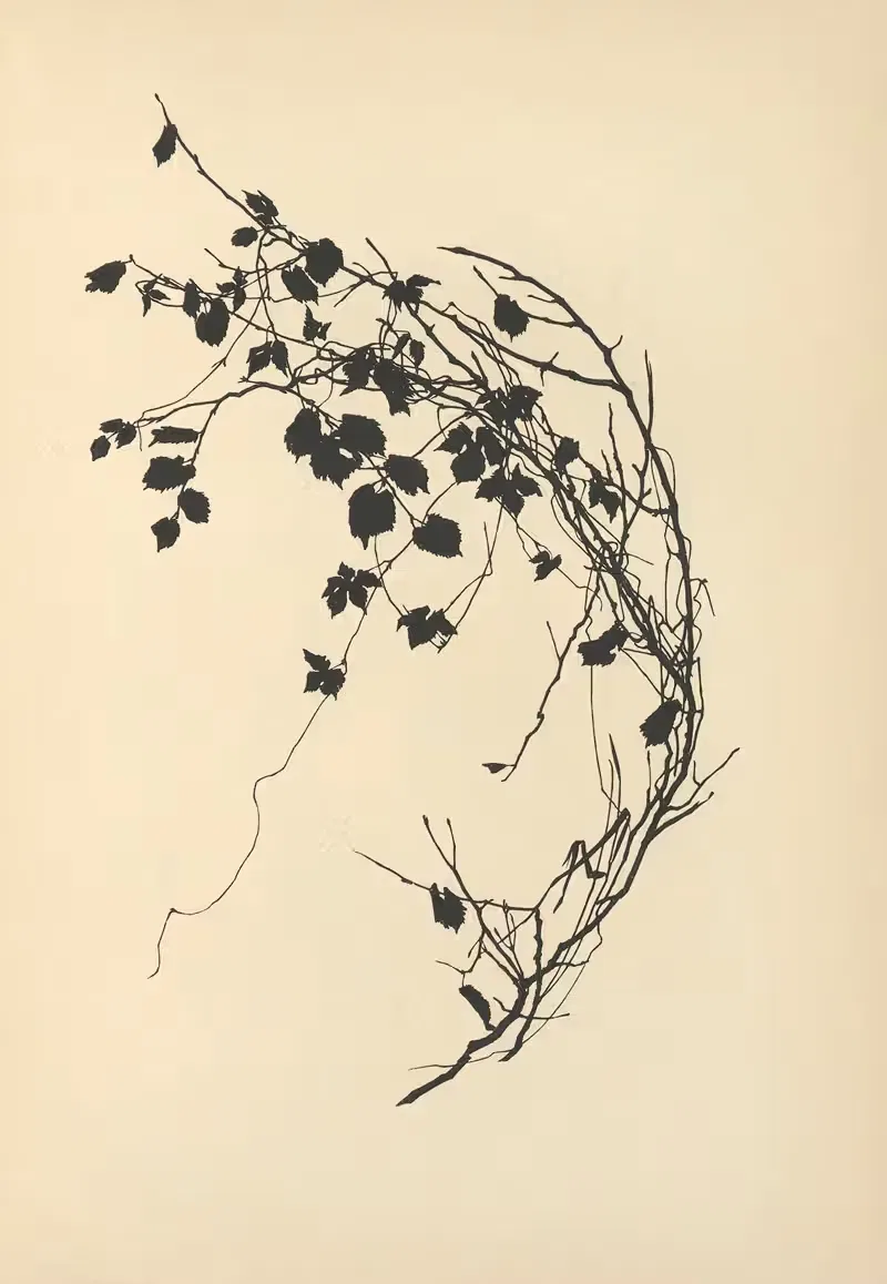 О довольстве пл.20 by Йоханна Бекманн, 1932 — digital art print download