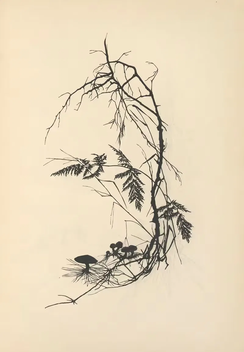 О том, как стать довольным Пл.37 by Йоханна Бекманн, 1932 — digital art print download
