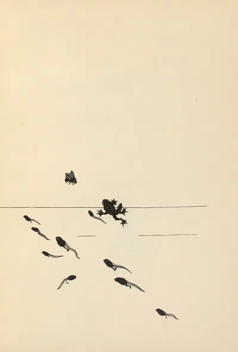 Von Steh-Männchen und Gründlingen Pl.17 — Johanna Beckmann