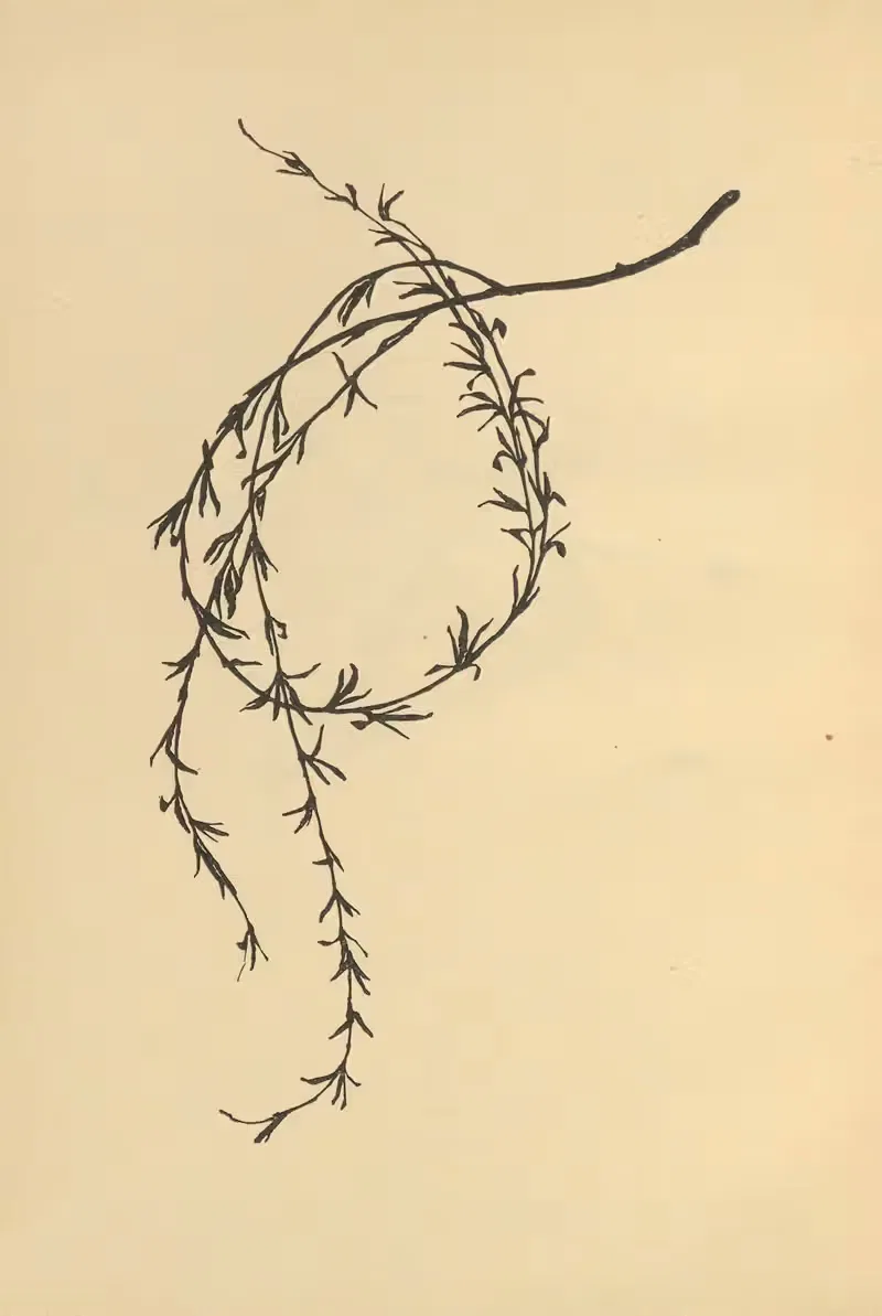 Когда наступит весна Пл.06 by Йоханна Бекманн, 1924 — digital art print download