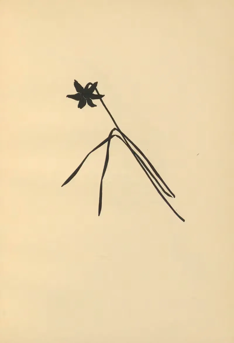 Когда наступит весна Пл.50 by Йоханна Бекманн, 1924 — digital art print download