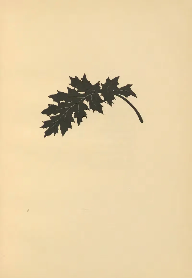 Когда наступит весна Пл.53 by Йоханна Бекманн, 1924 — digital art print download