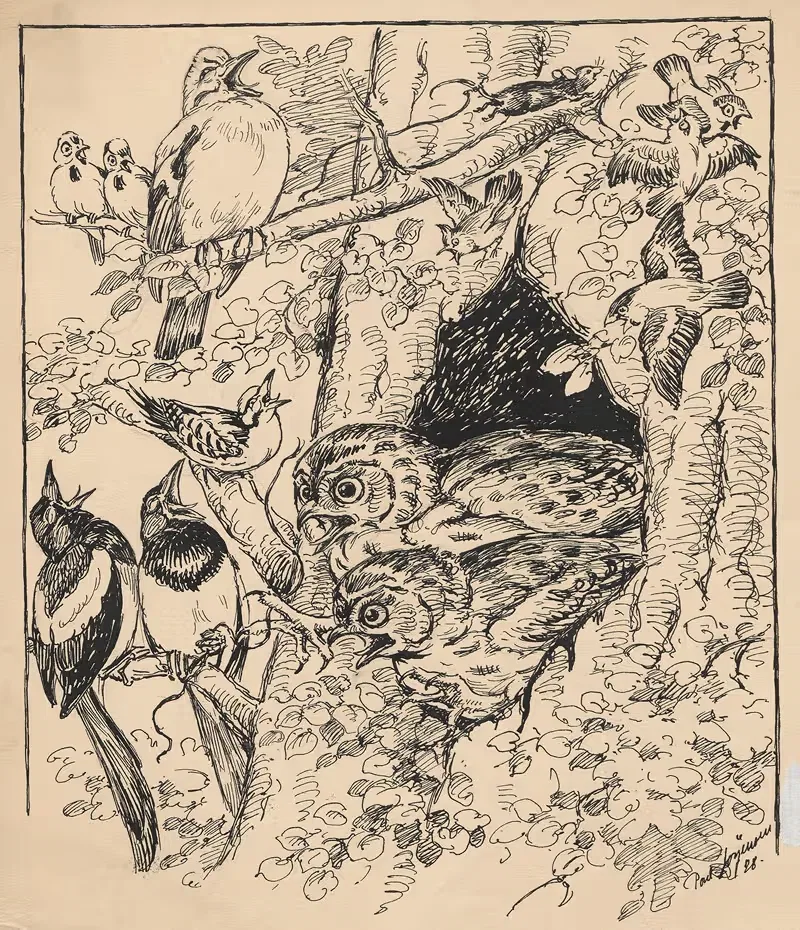 Two owls peer out from a hollow in a tree trunk — Poul Christian Jørgensen
