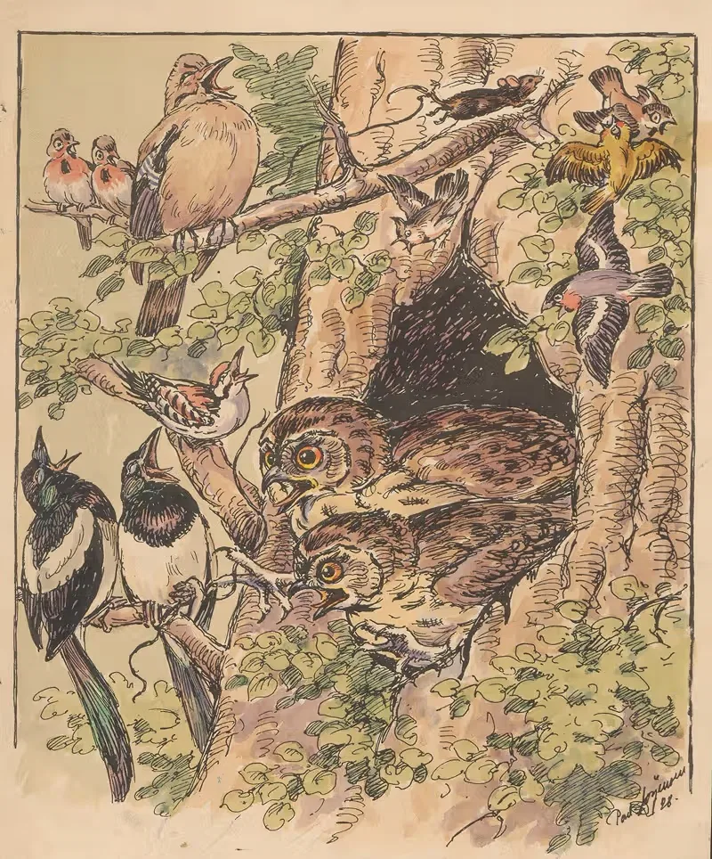 Two owls peer out from a hollow in a tree trunk — Poul Christian Jørgensen