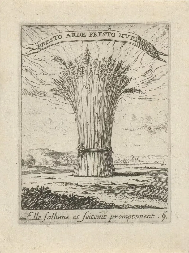 Devises et emblesmes d'amovr moralisez Pl.06 by Albert Flamen, 1672 — digital art print download