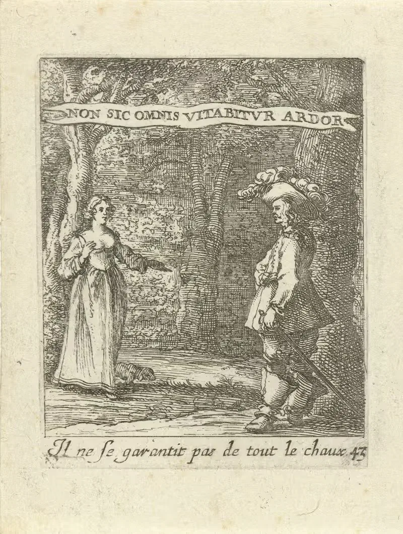 Devises et emblesmes d'amovr moralisez Pl.44 — Albert Flamen