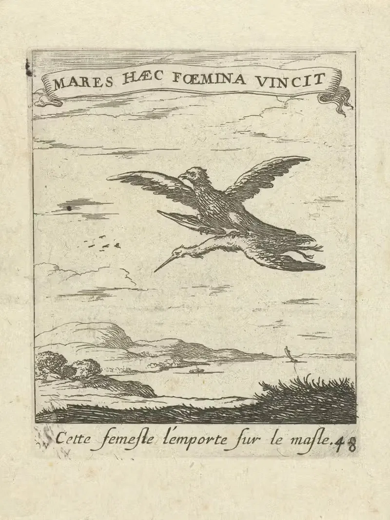 Devises et emblesmes d'amovr moralisez Pl.49 by Albert Flamen, 1672 — digital art print download