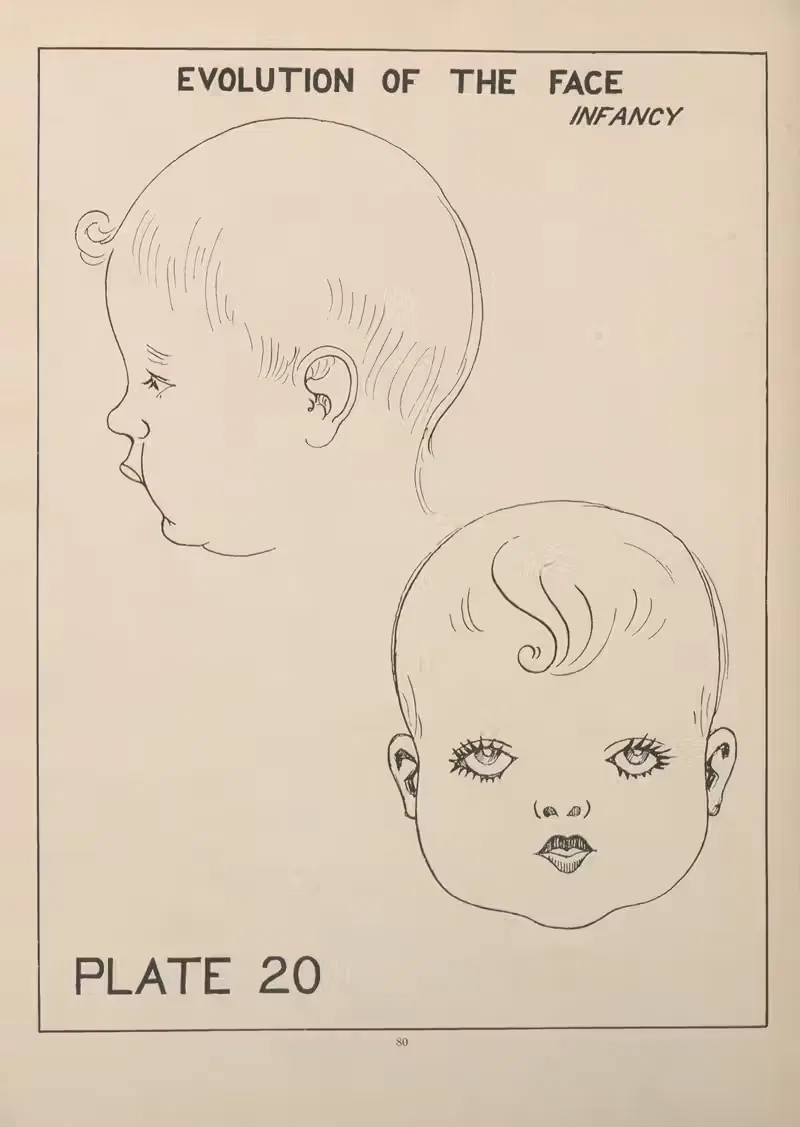 Evolution of the Face—Infancy by Edward Drosen, 1924 — digital art print download