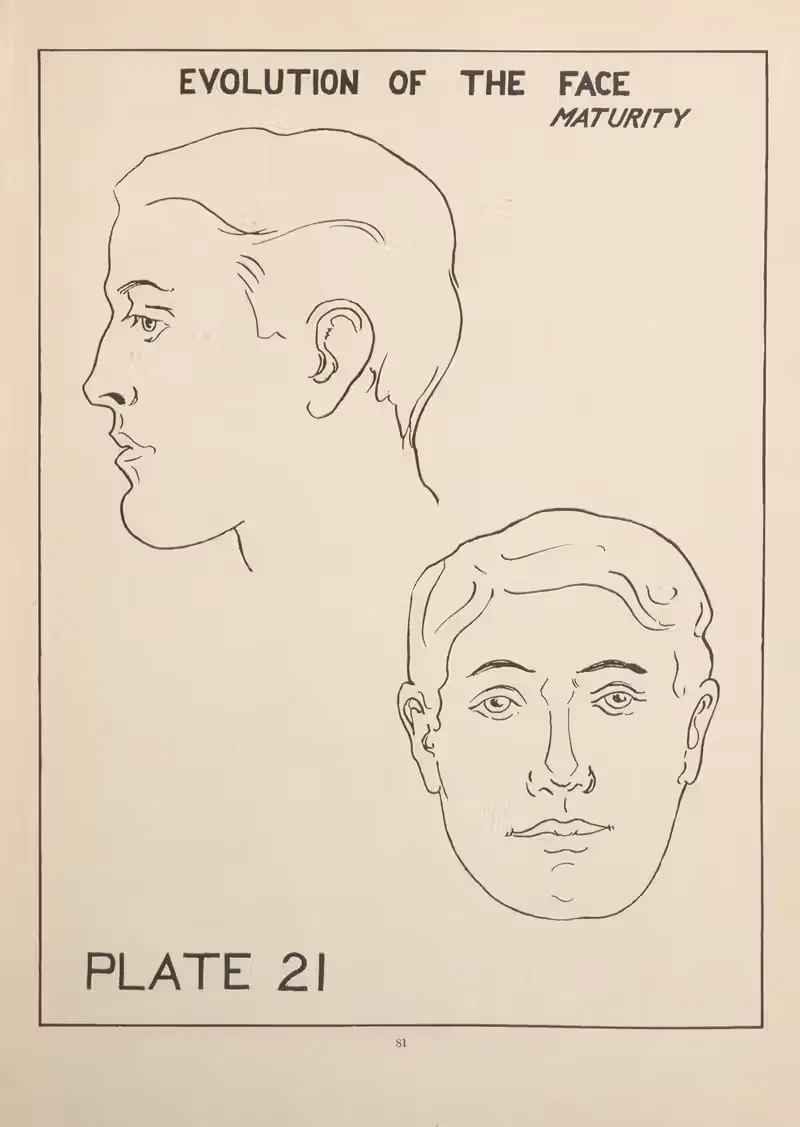 Evolution of the Face—Maturity by Edward Drosen, 1924 — digital art print download