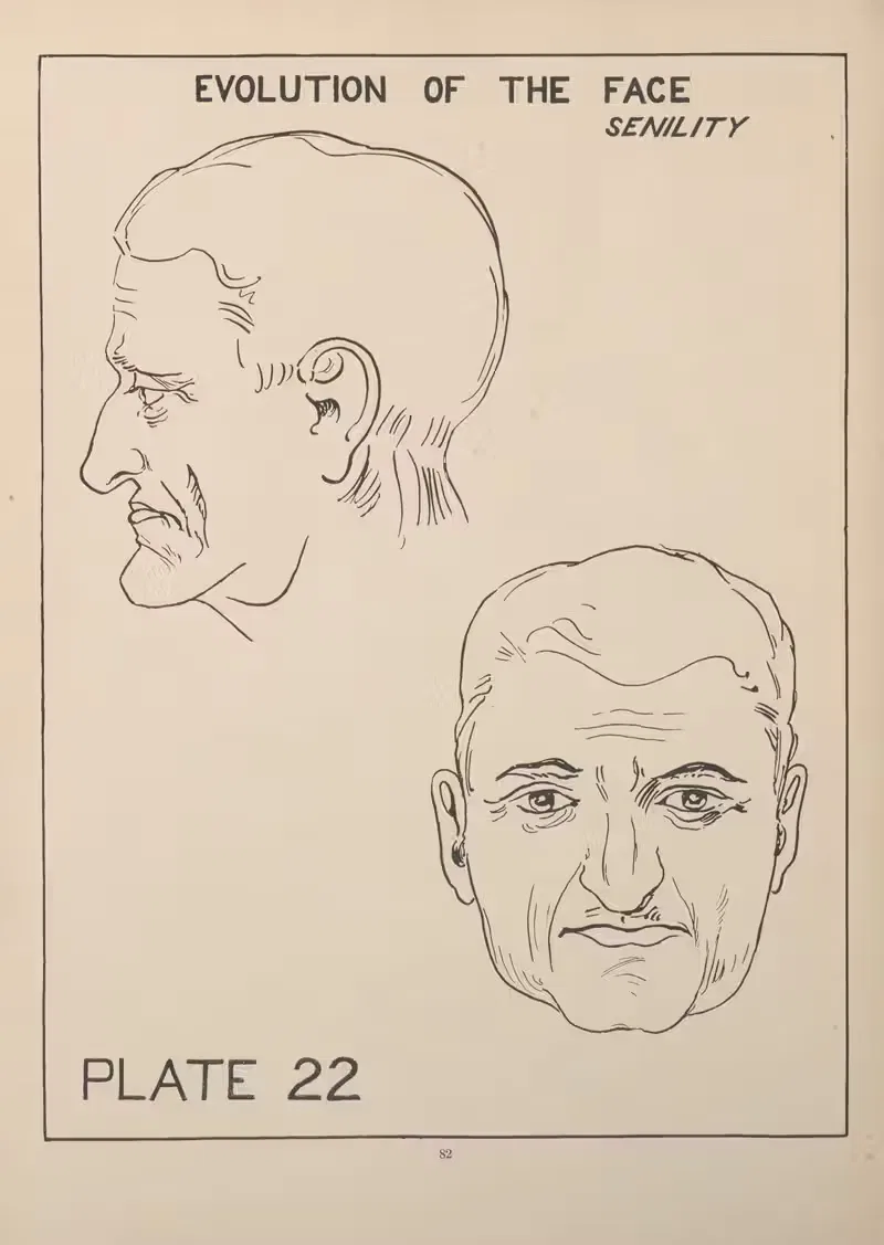 Evolution of the Face—Senility by Edward Drosen, 1924 — digital art print download