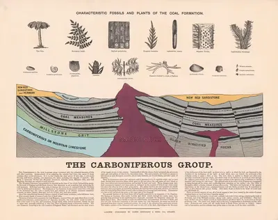 The Carboniferous Group by James Reynolds, 1878 — digital art print download