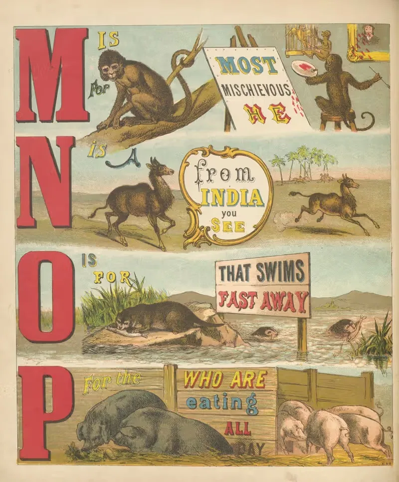 Alphabet of animals Pl.4 — Laura Valentine