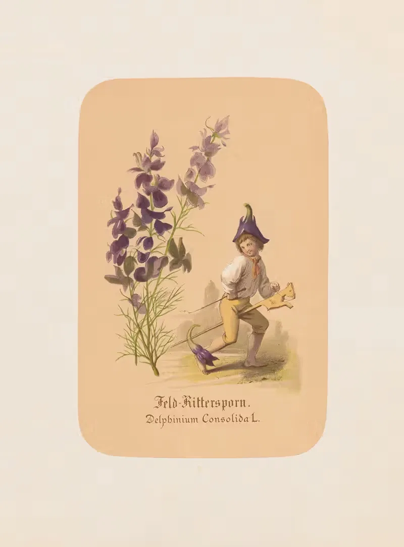 Feld-Rittersporn. Delphinium Consolida — Адольф Шрётер