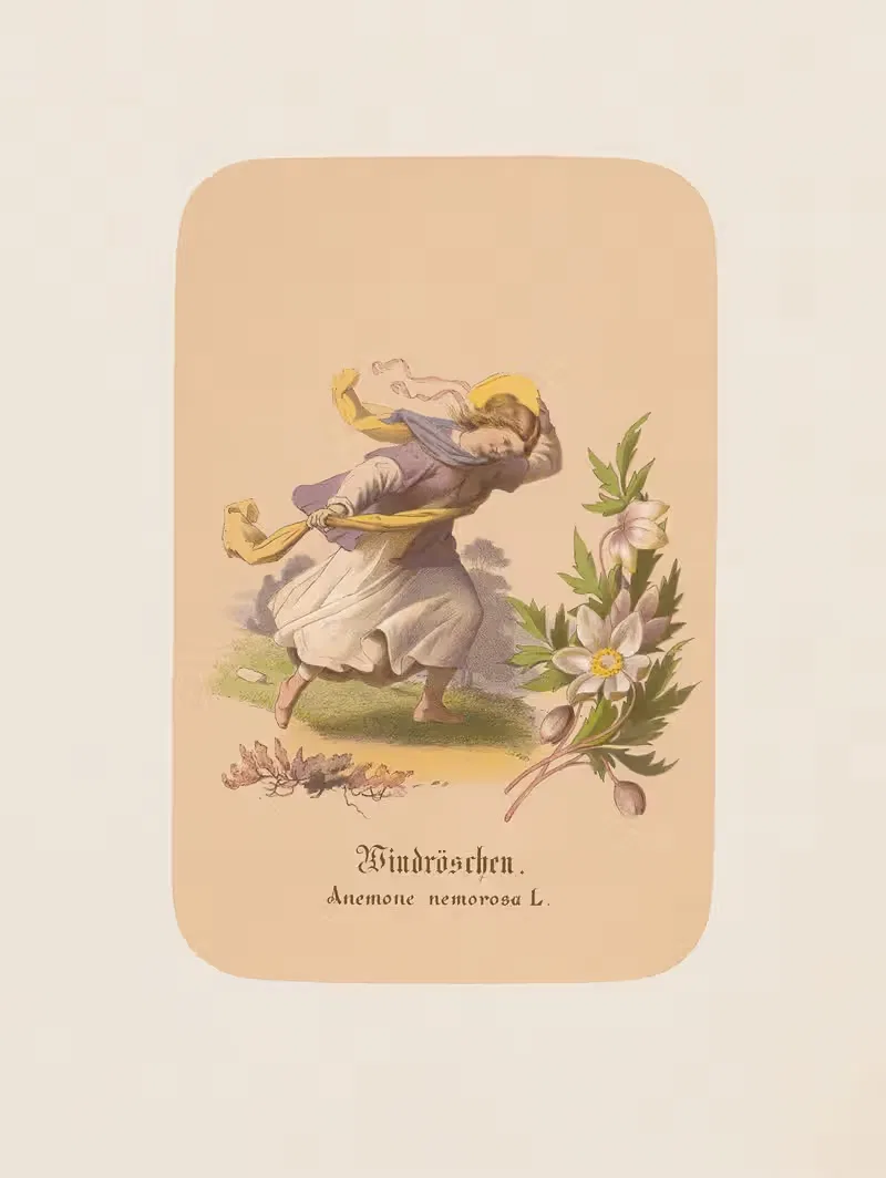Windröschen. Anemone nemorosa by Адольф Шрётер, 1870 — digital art print download