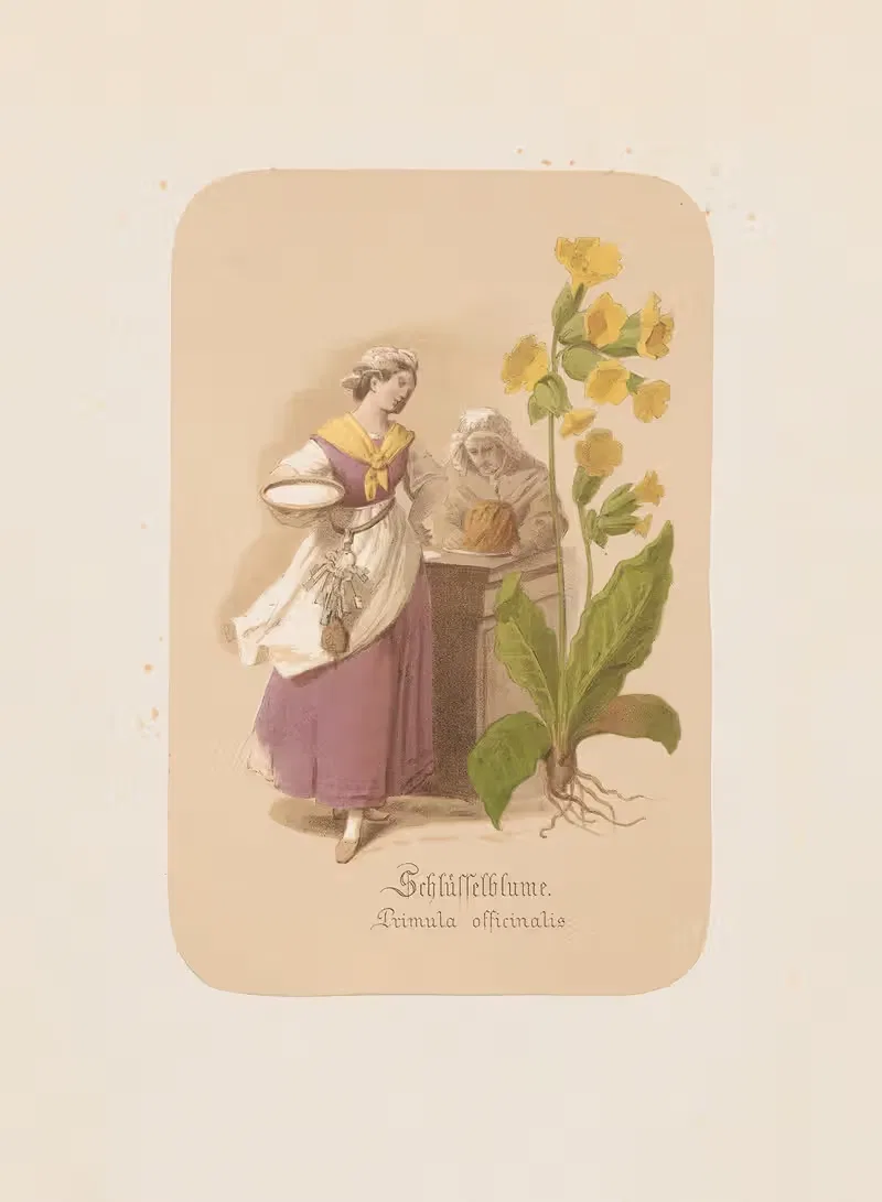 Schlüsselblume. Primula officinalis by Adolf Schrödter, 1870 — digital art print download