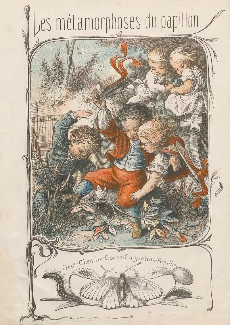 Les métamorphoses du papillon Pl.02 by Charles-Émile Matthis, 1878 — digital art print download