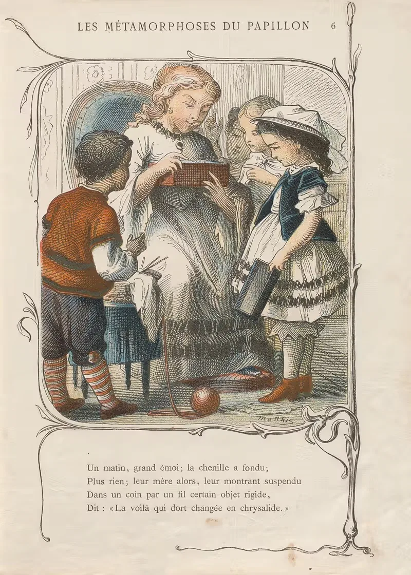Les métamorphoses du papillon Pl.07 by Charles-Émile Matthis, 1878 — digital art print download