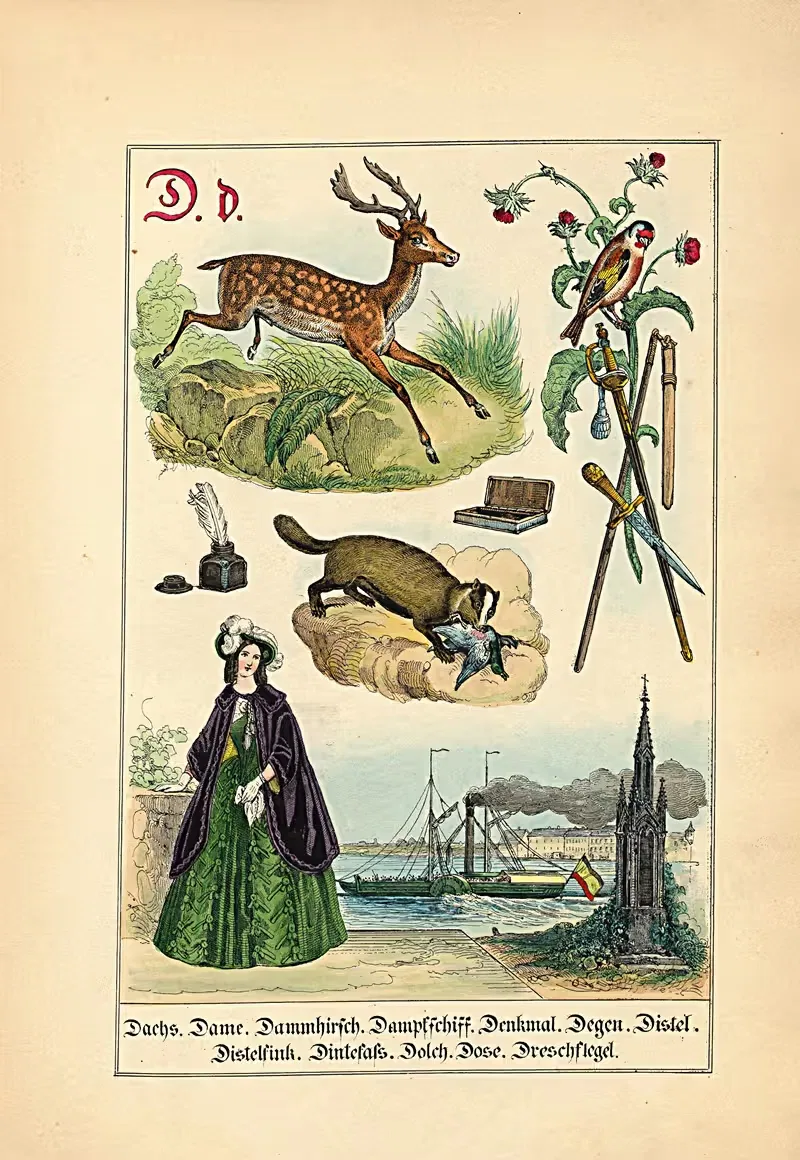 D. d. Dachs. Dame. Dammhirsch. Dampfschiff... by Johann Baptist Sonderland, 1849 — digital art print download