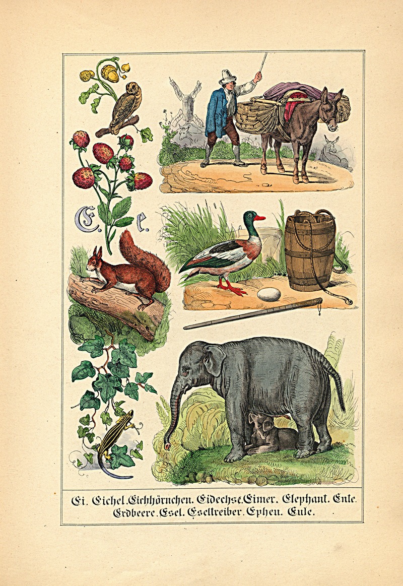 E. e. Ei. Eichel. Eichhörnchen. Eidechse... by Johann Baptist Sonderland, 1849 — digital art print download