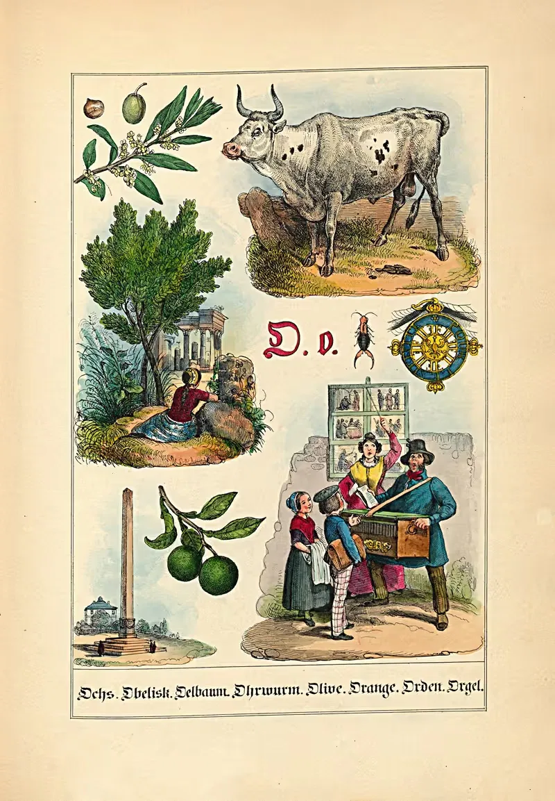 O. o. Ochs. Obelisk. Oelbaum... by Johann Baptist Sonderland, 1849 — digital art print download