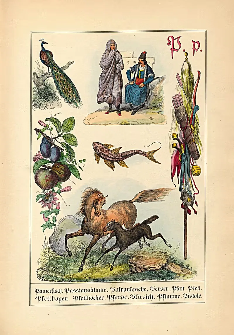 P. p. Panzerfisch. Passionsblume. Patrontasche... by Johann Baptist Sonderland, 1849 — digital art print download
