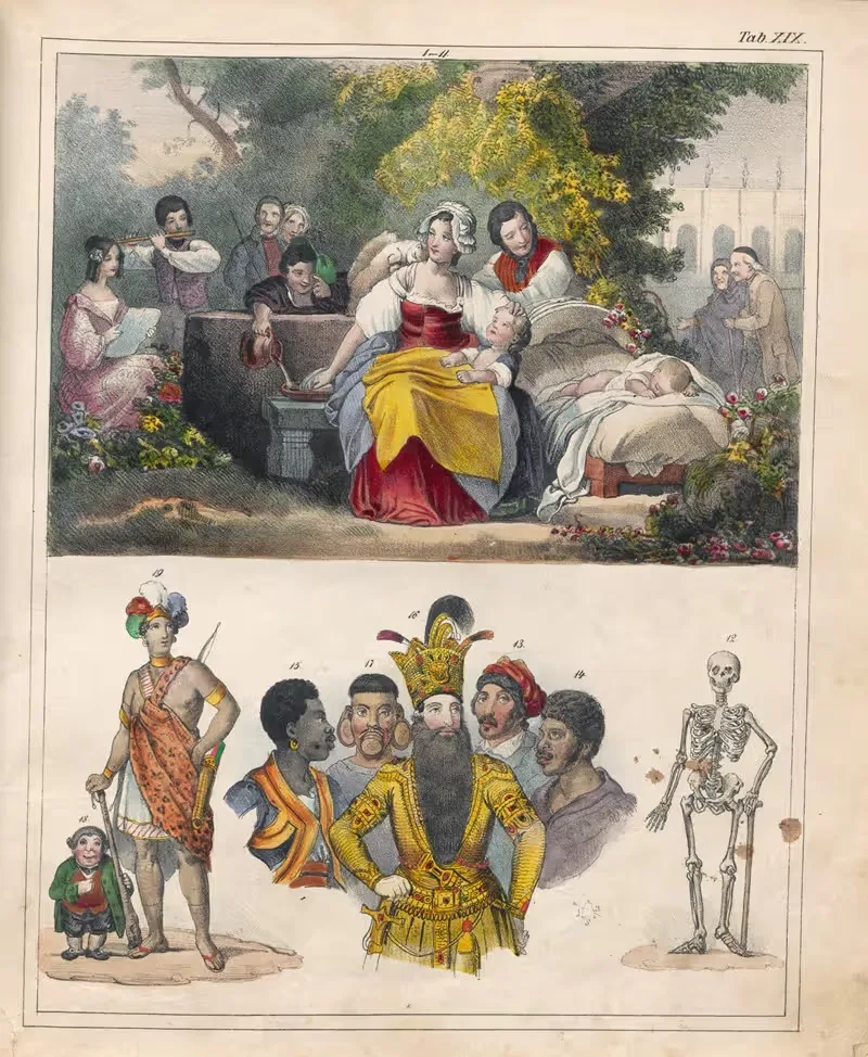 Orbis pictus Pl.19 by Johann Baptist Sonderland, 1841 — digital art print download