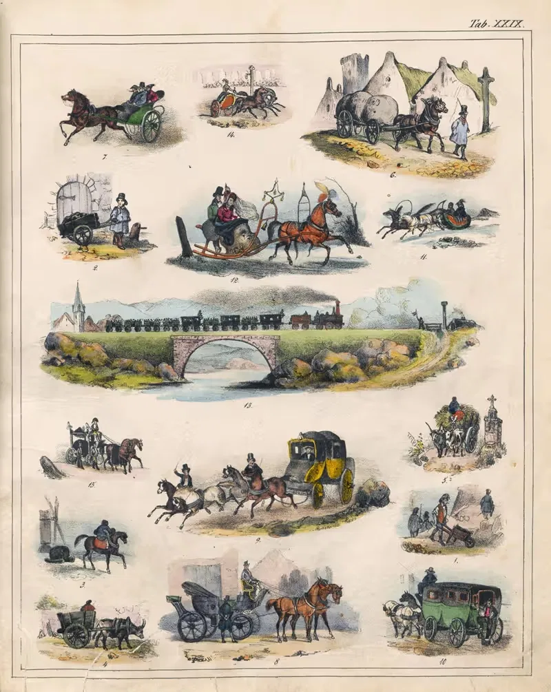 Orbis pictus Pl.27 by Johann Baptist Sonderland, 1841 — digital art print download