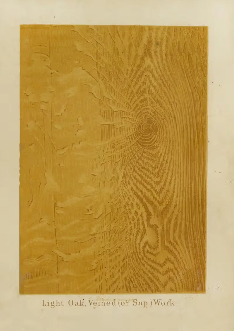 Light Oak, Veined (or Sap) Work by John Wesley Masury, 1872 — digital art print download