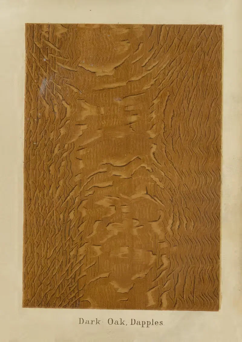 Dark Oak, Dapples by John Wesley Masury, 1872 — digital art print download