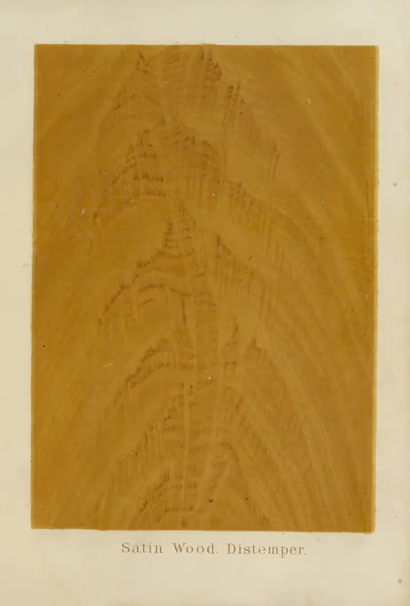 Satin Wood. Distemper by John Wesley Masury, 1872 — digital art print download