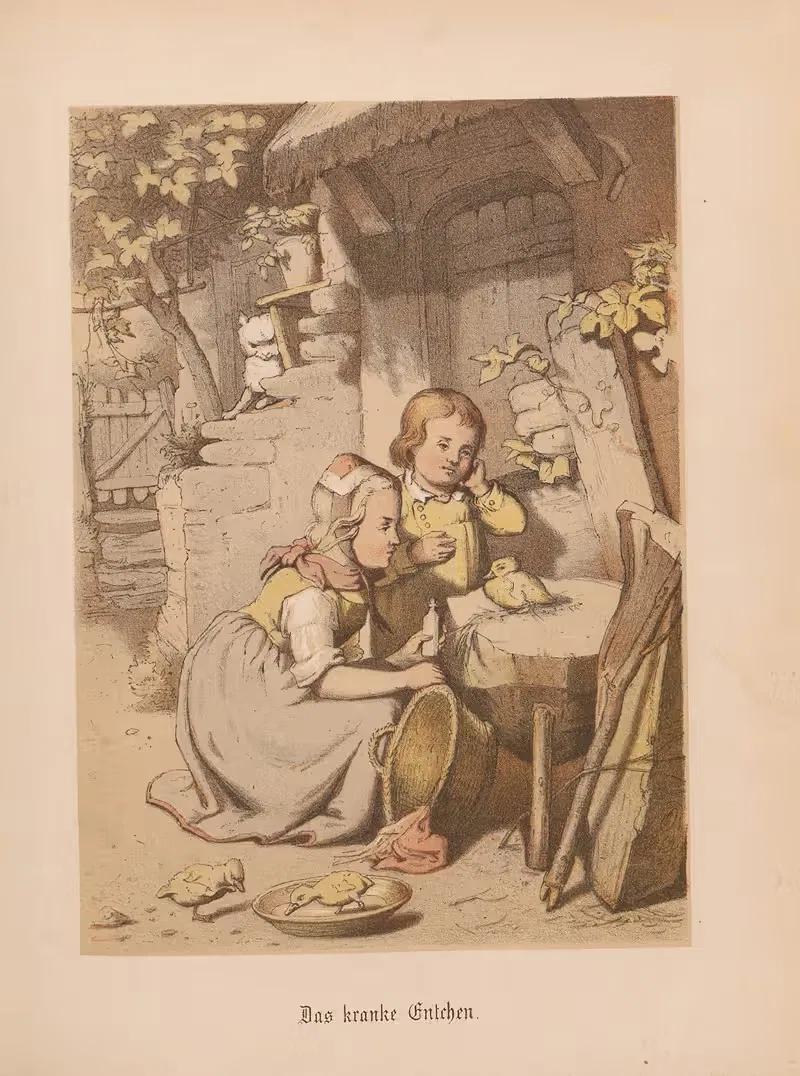 Das kranke Entchen - G. Süs by Nikolaus Hocker, 1856-1858 — digital art print download