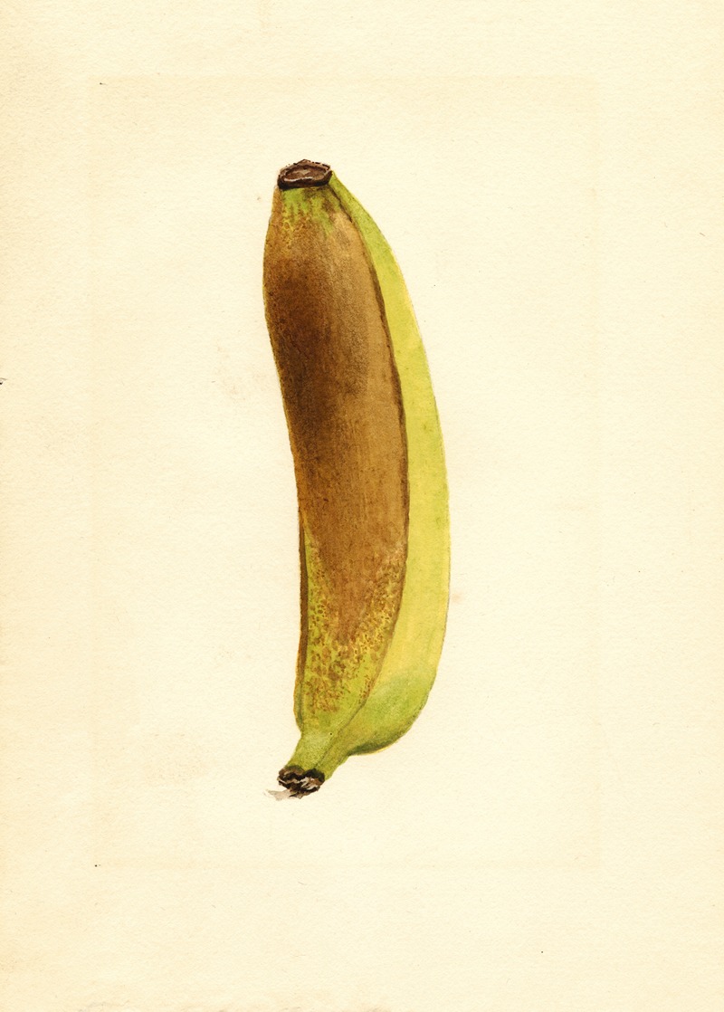 Musa by James Marion Shull — digital art print download