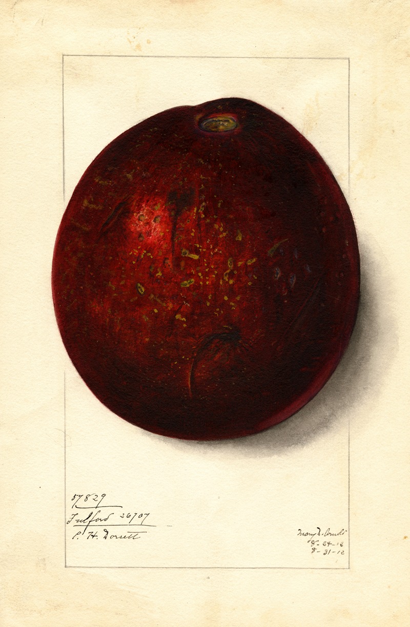 Persea: Fulford by Mary Daisy Arnold, 1912 — digital art print download