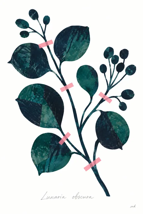 Agapanthus in Deep Green