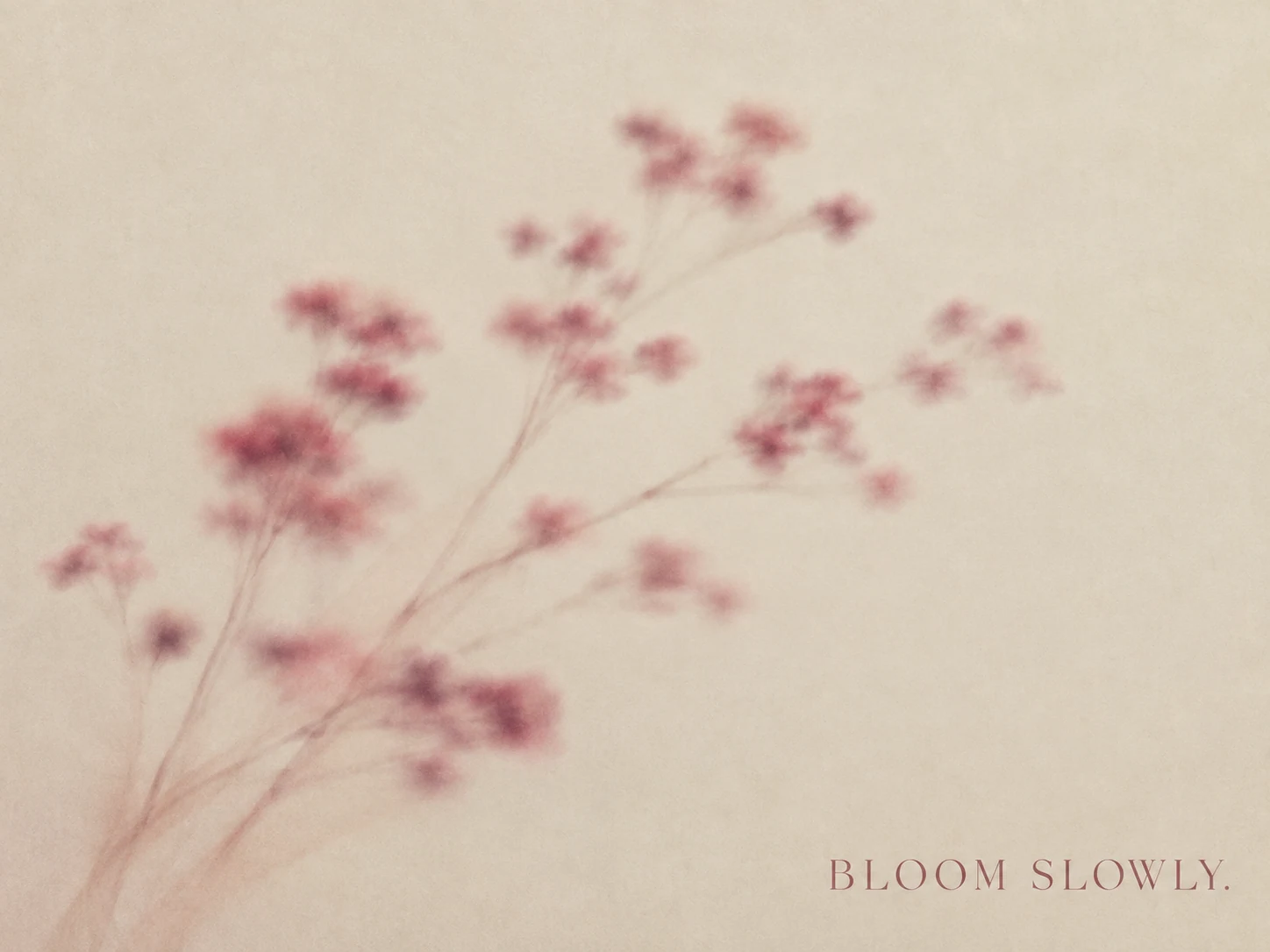 Bloom Slowly