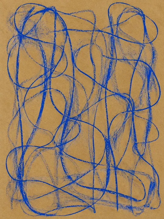 Blue Continuous-Line Study